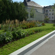 Junglinster
